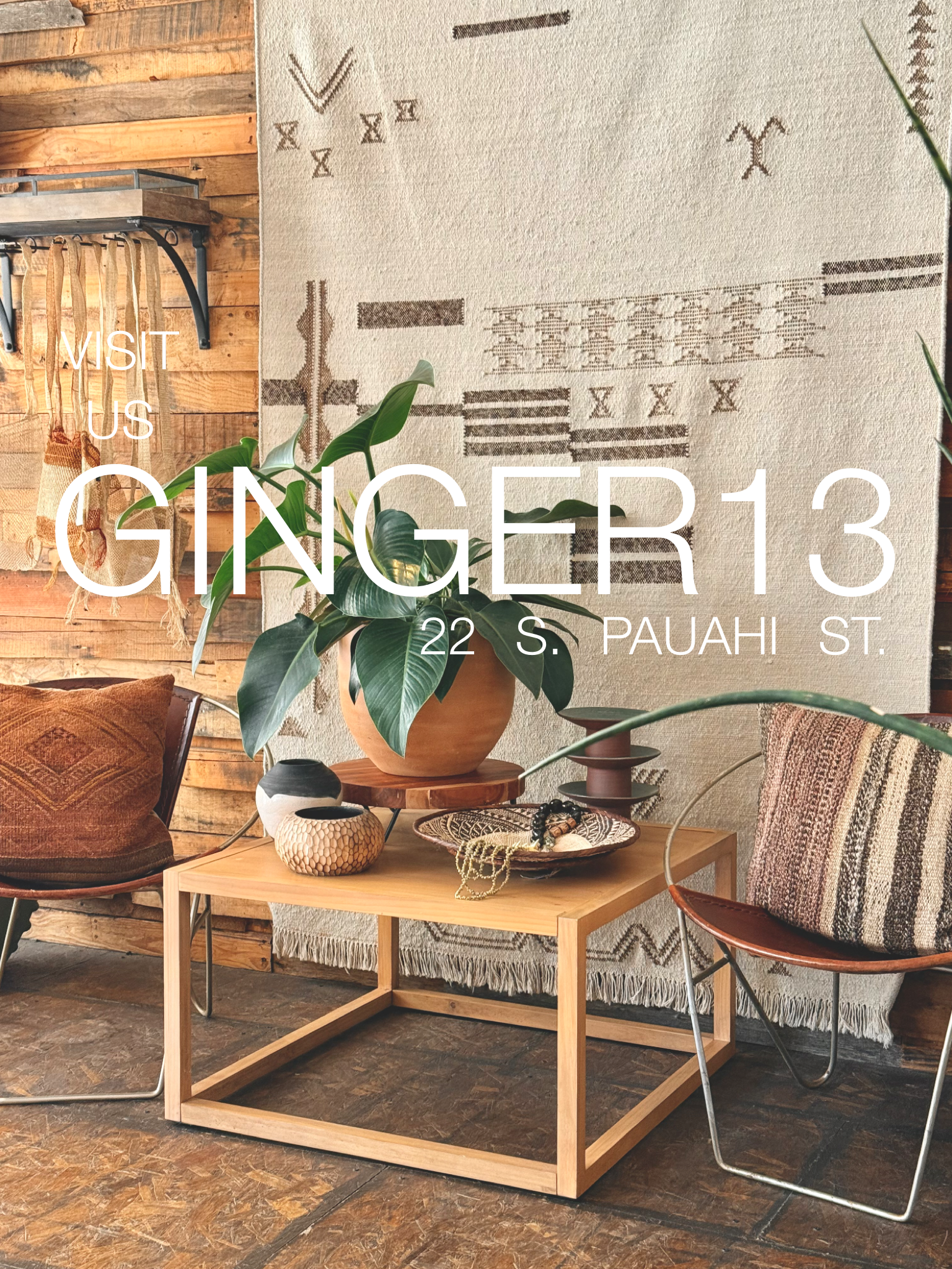 GINGER13